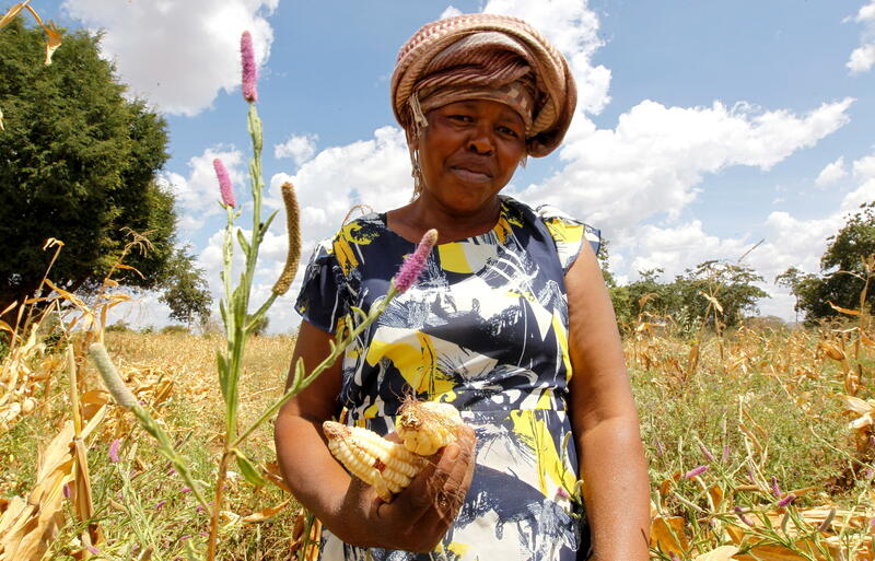 A farmer holds maize harvested from a farm insured by Pula, an agricultural insurance company that helps small-scale farmers to manage the risk associated with extreme climate conditions, in Kitui county, Kenya March 17, 2021. Picture taken March 17, 2021. REUTERS/Monicah Mwangi
