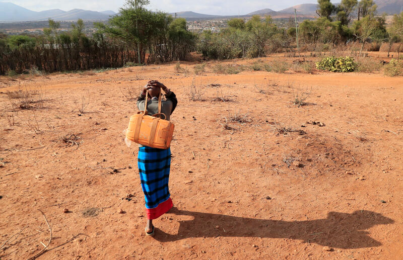Drought in Kenya forces Maasai herders to sell emaciated cattle
