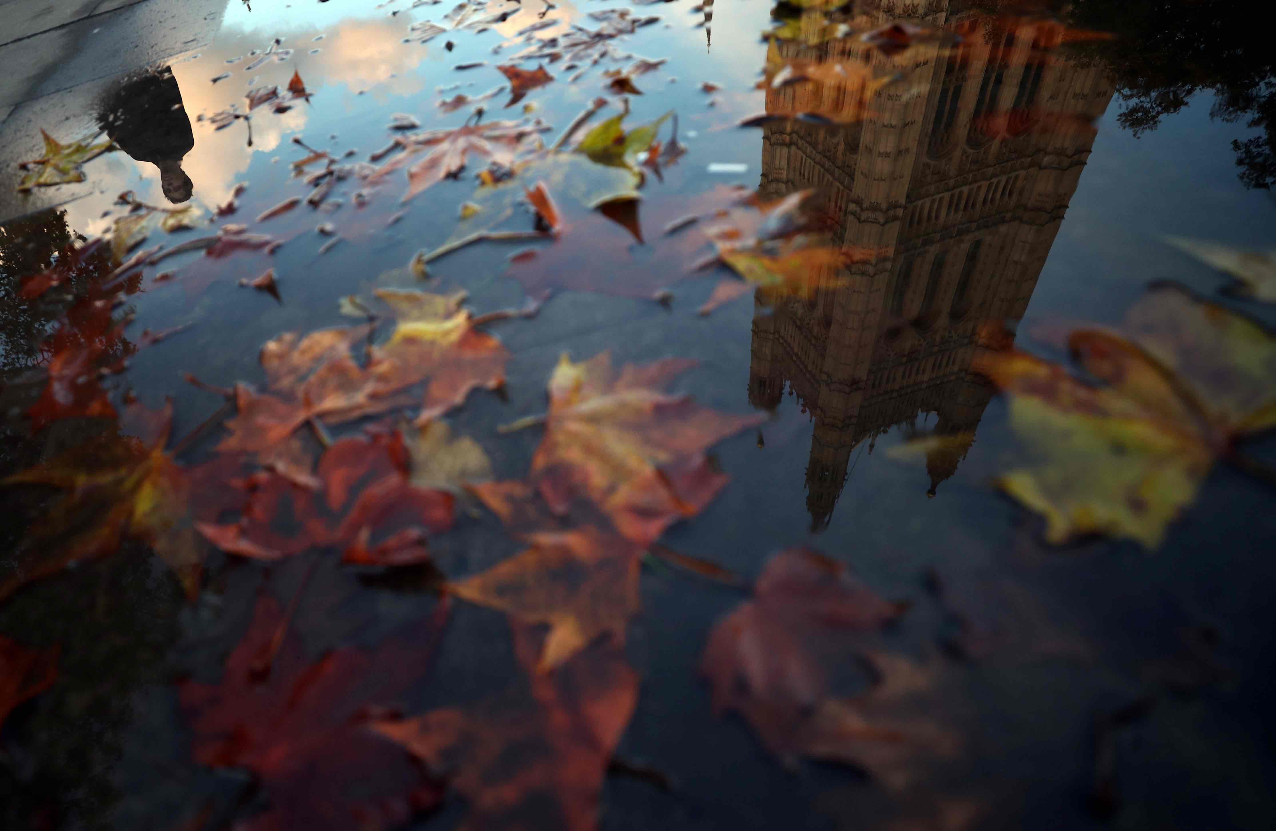 A man walking past the Houses of Parliament is reflected in a puddle. REUTERS / Hannah McKay