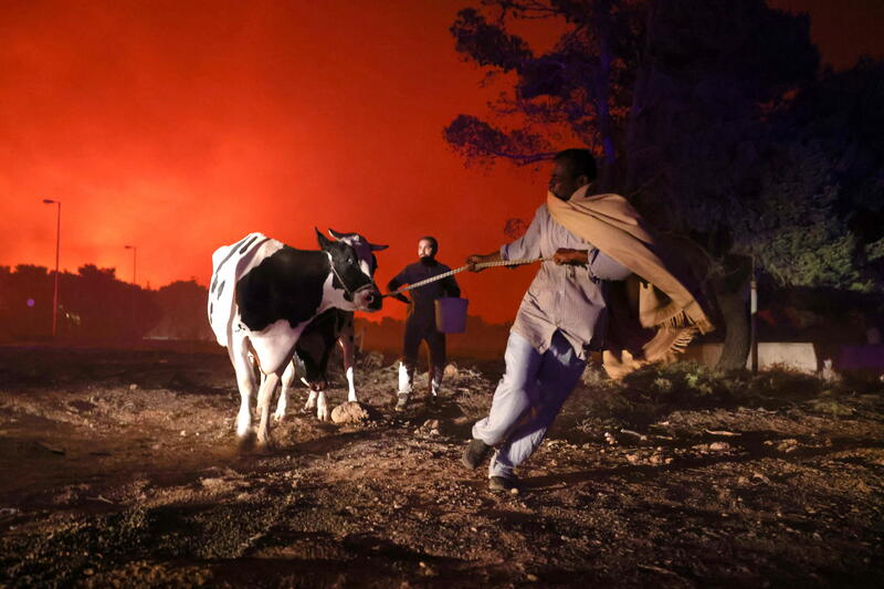Locals evacuate the area with their animals as a wildfire rages in the suburb of Thrakomakedones, north of Athens, Greece, August 7, 2021. REUTERS/Giorgos Moutafis
