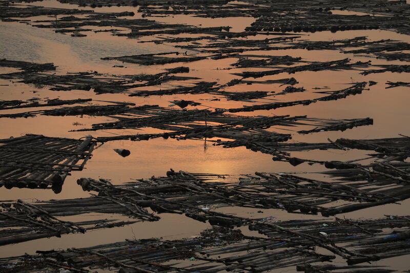 Logs of wood float on the Lagos lagoon near the Makoko riverine slum, in Lagos, Nigeria February 27, 2022. Picture taken February 27, 2022. REUTERS/Temilade Adelaja