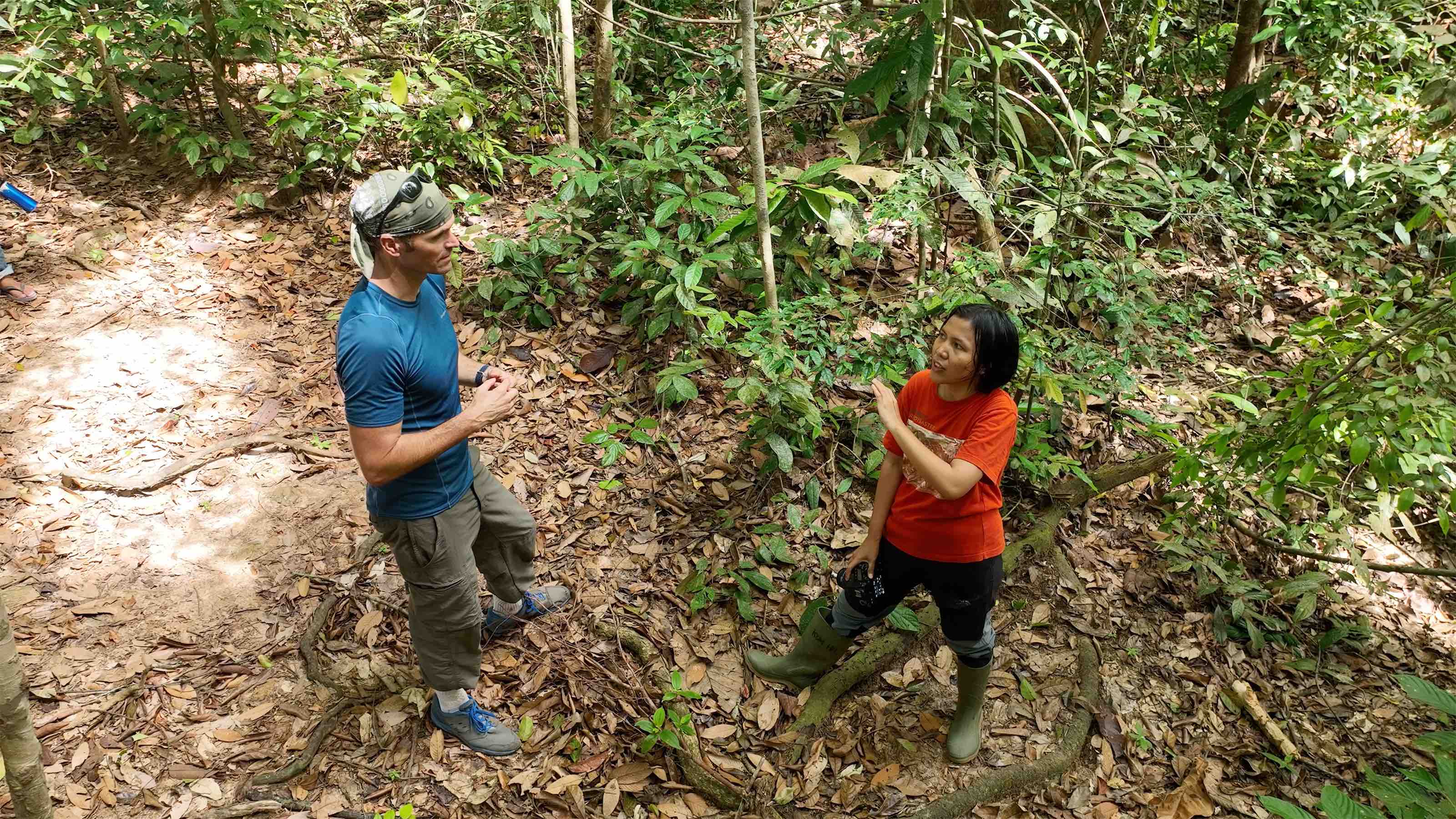 Mongabay's founder Rhett Ayers Butler reporting on the Harapan rainforest in Jambi on the island of Sumatra in Indonesia. 