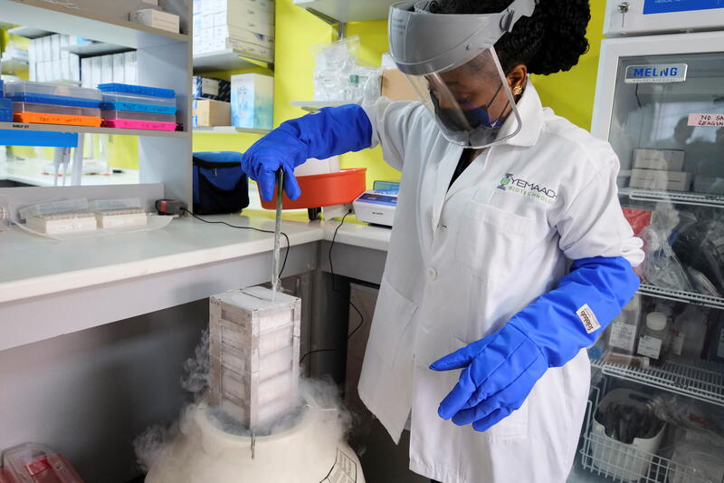 Vera Kotey, 22, a research associate, inspects a liquid nitrogen tank at Yemaachi Biotechnology, a cancer research laboratory in Accra, Ghana May 19, 2022. Picture taken May 19, 2022. REUTERS/Francis Kokoroko