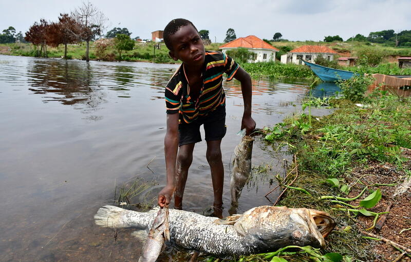 Shadrack Kafuluma, 12, handles dead fish that was swept by waves to the shores of Lake Victoria in at the Kigungu landing site in Entebbe, Uganda January 12, 2021. REUTERS/Abubaker Lubowa