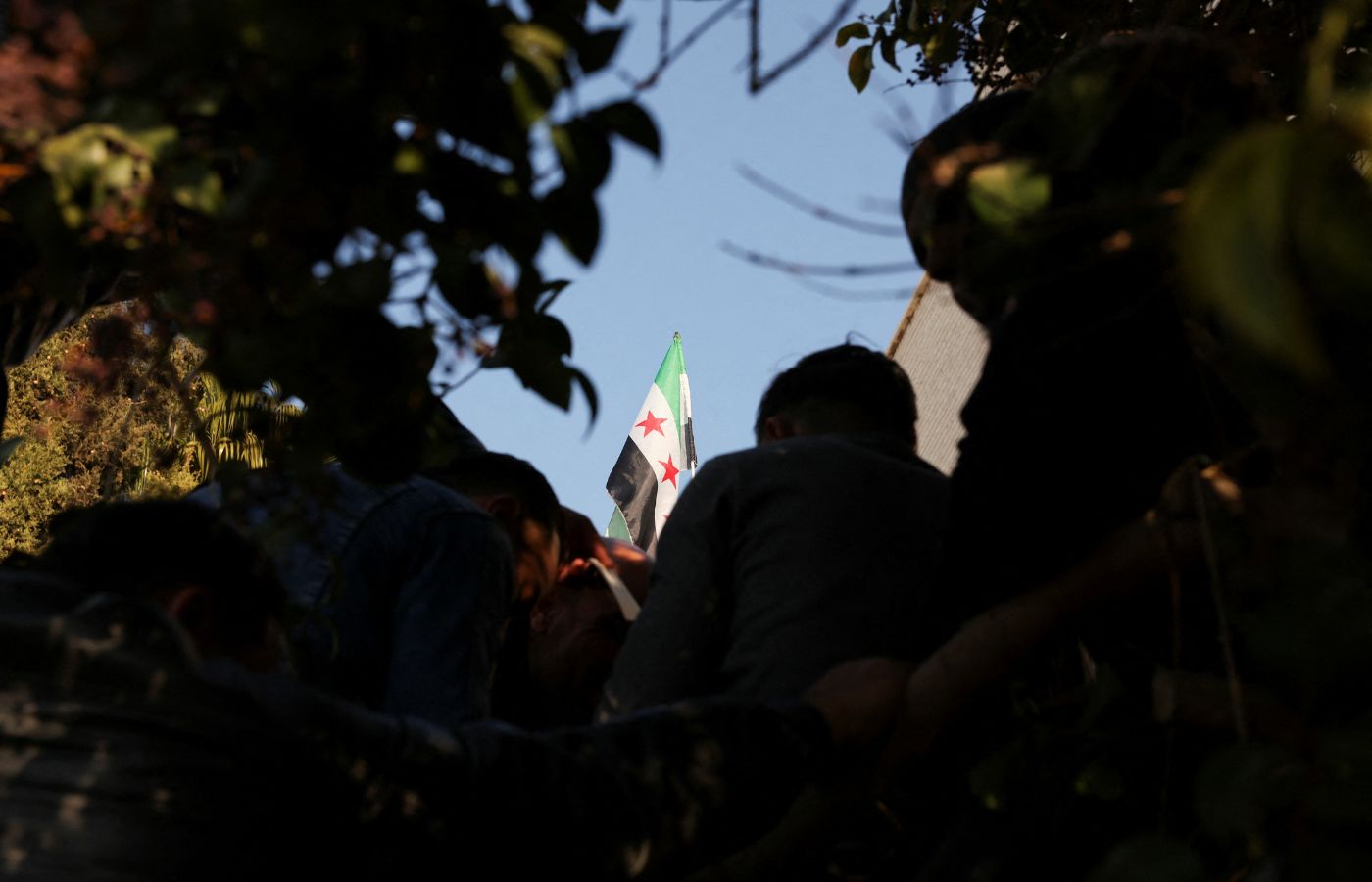 Syria's new flag