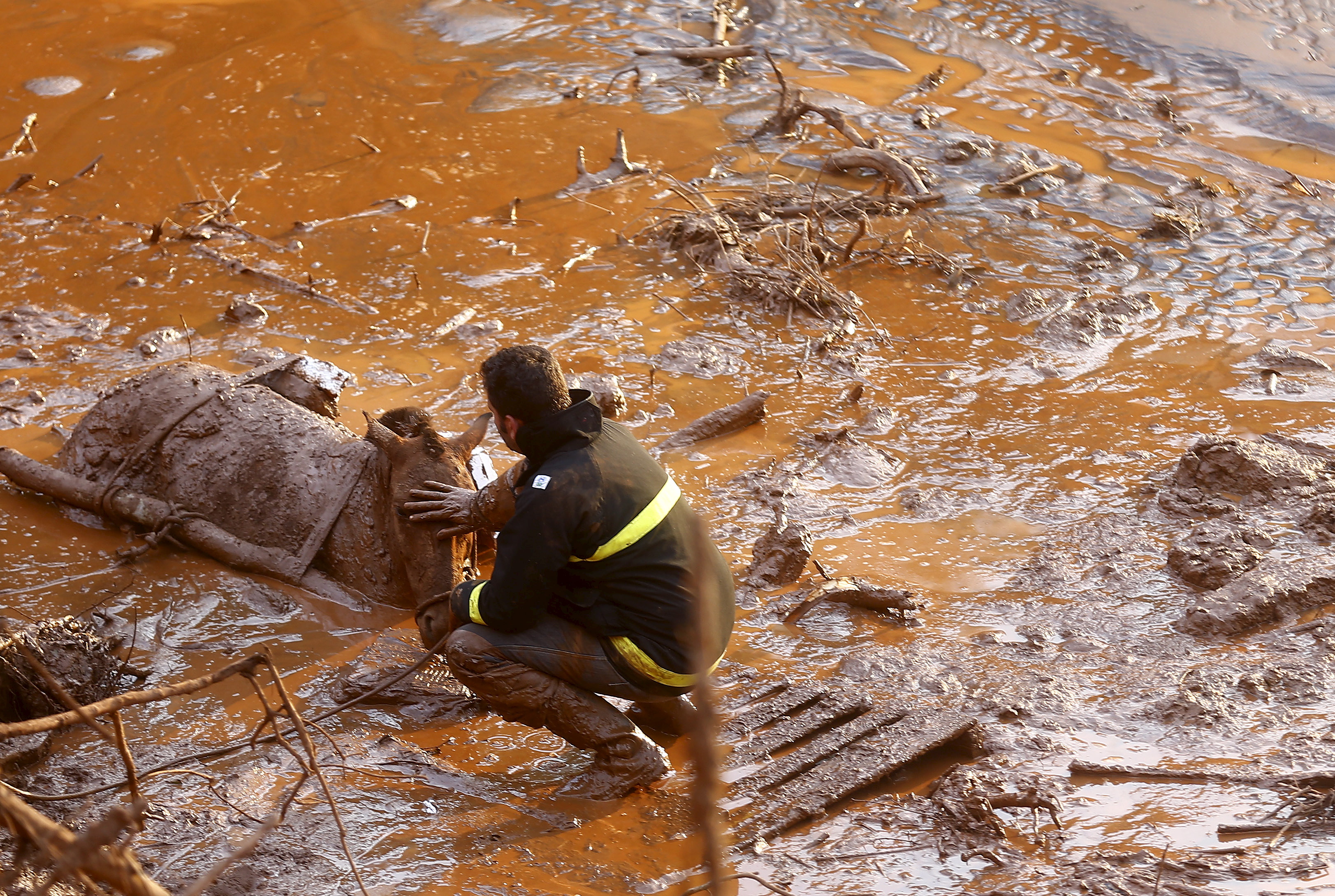 A rescue worker touches the face of a horse as they try to save it at Bento Rodrigues district, which was covered with mud after a dam owned by Vale SA and BHP Billiton Ltd burst in Mariana, Brazil, November 6, 2015.
