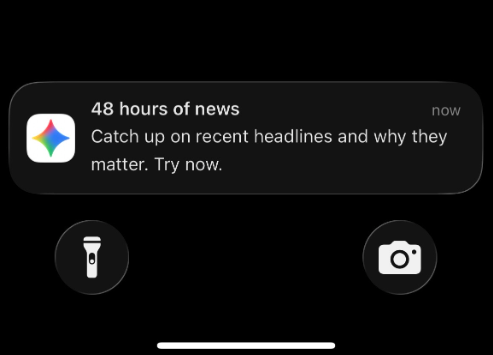Screenshot of Google Gemini