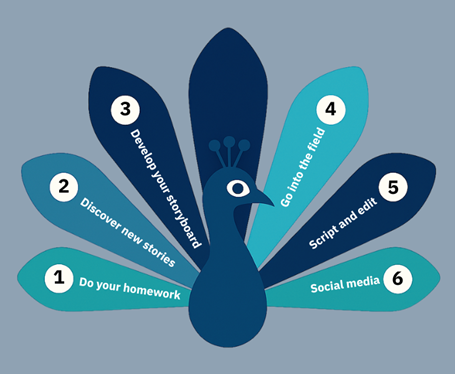 Diagram showing a stylised peacock with six fanned tail feathers, each representing a step in a rural video storytelling process. The six labelled steps are: 1) Do your homework, 2) Discover new stories, 3) Develop your storyboard, 4) Go into the field, 5) Script and edit, and 6) Social media promotion. The peacock is used metaphorically to evoke pride, clarity, and cultural relevance in rural Indian journalism.