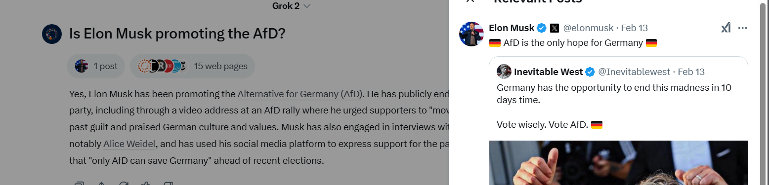 A screenshot of a chat exchange with Grok. The section of X post sources is selected showing a post by Elon Musk's account reading: 'AfD is the only hope for Germany.'