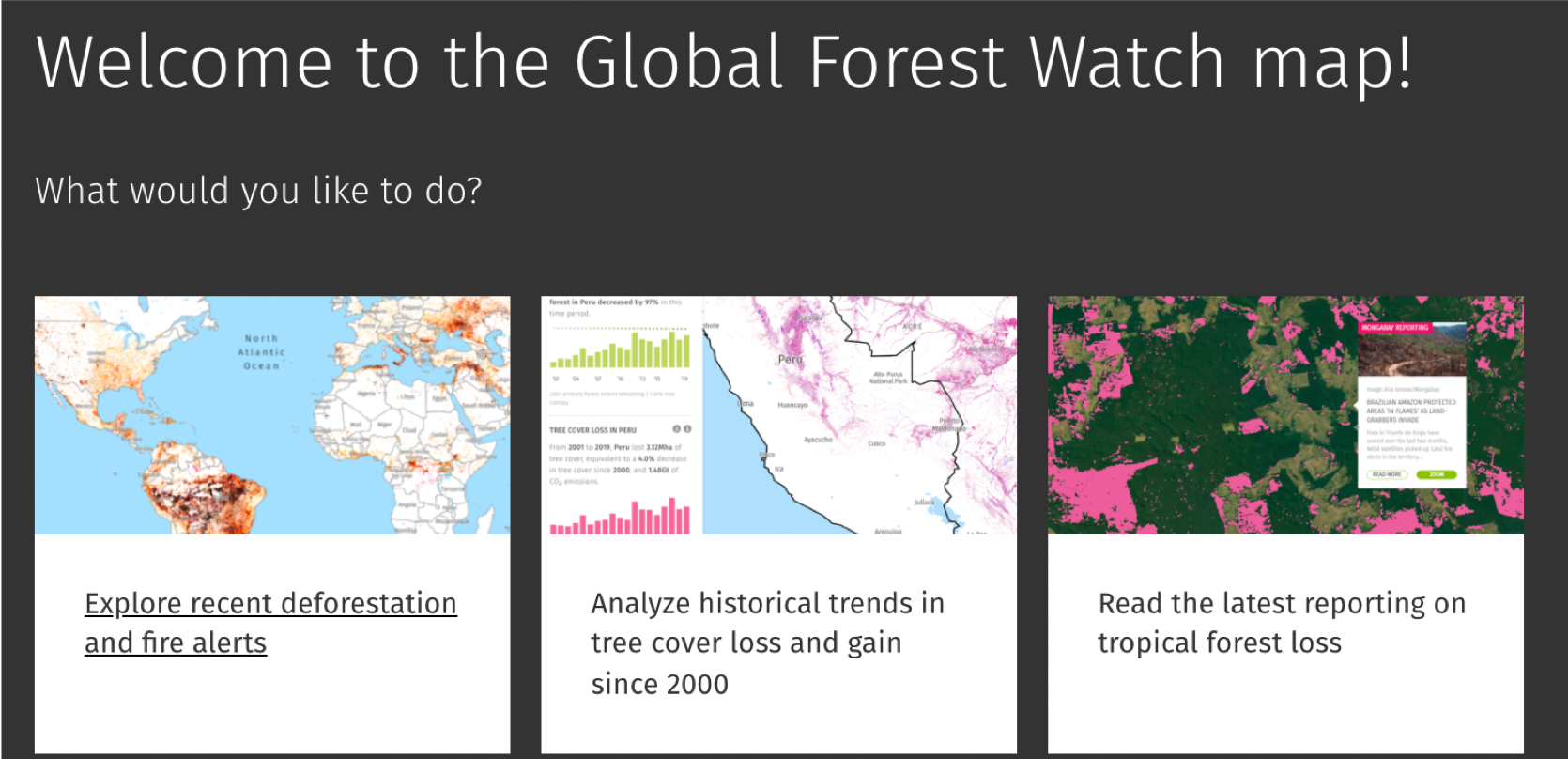 Global forest watch что это