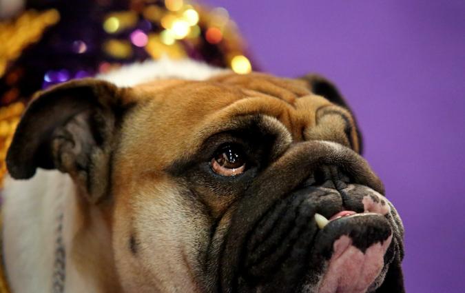 Who guards the watchdog Yana Paskova/Reuters