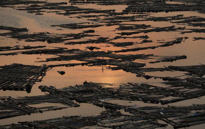 Logs of wood float on the Lagos lagoon near the Makoko riverine slum, in Lagos, Nigeria February 27, 2022. Picture taken February 27, 2022. REUTERS/Temilade Adelaja