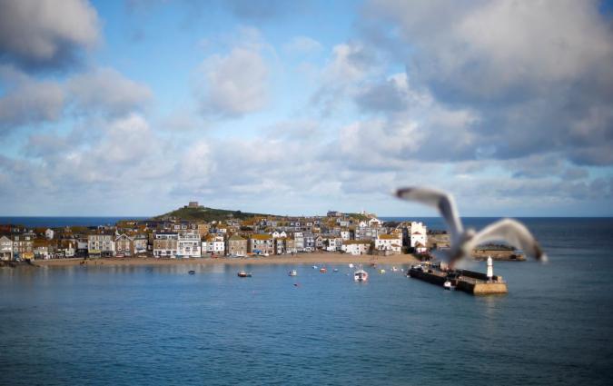 A seagull flies by an overhead shot of St Ives, Cornwall
