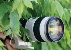 Media and Public Shaming Drawing the Boundaries of Disclosure