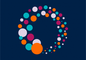 RISJ Logo