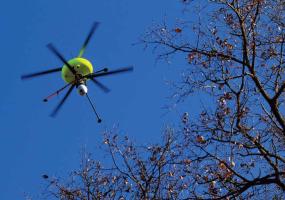  Remotely Piloted Aircraft and Journalism