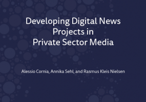 Front cover of Developing Digital Projects in Private Sector Media report