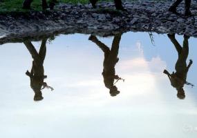 Indian policemen patrol on the banks of the Tawi river