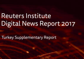 turkey supplementary report