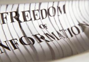 freedom of information