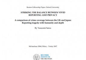 Striking the Balance between Vivid Reporting and Privacy