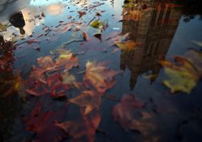House of Commons in reflection