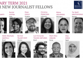 Our Journalist Fellows