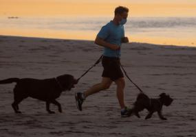 A man wears a face mask as he exercises with his dogs in Del Mar, California, U.S., December 1, 2020. REUTERS/Mike Blake