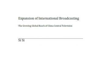 Si Si working paper thumb nail.jpg